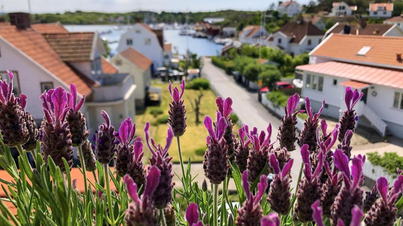 Skaftoe Loenndal, 4*